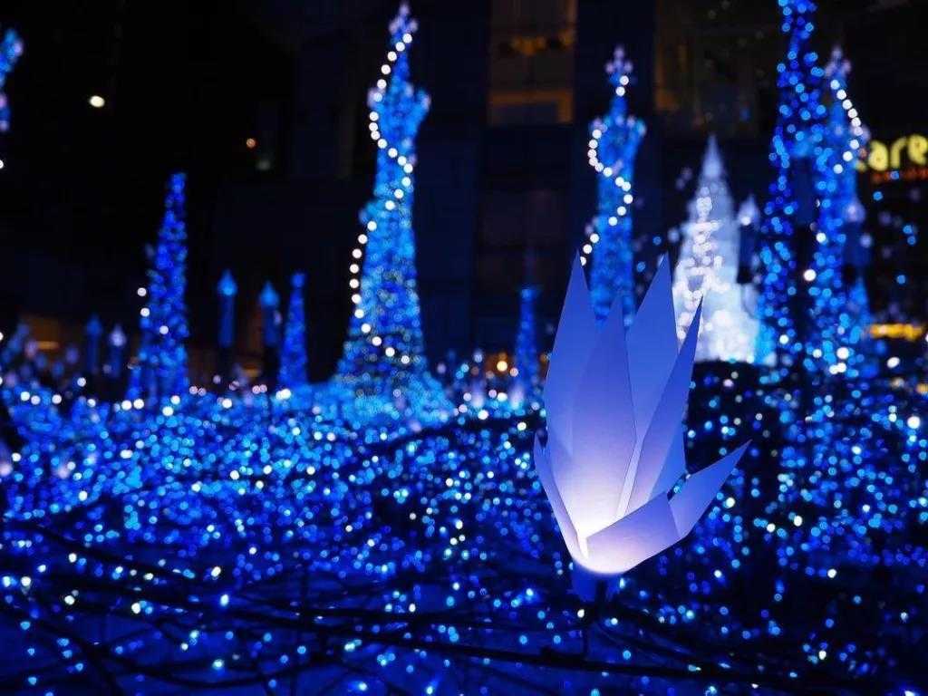 今年冬天在东京的“彩灯地点”全盘点，错过又要等一年！