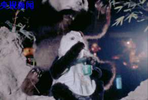 熊猫灯会